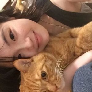 杨幂范冰冰迪丽热巴
