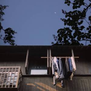 杨幂范冰冰迪丽热巴
