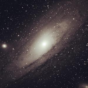 杨幂范冰冰迪丽热巴
