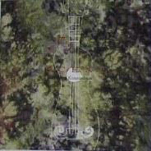 杨幂范冰冰迪丽热巴
